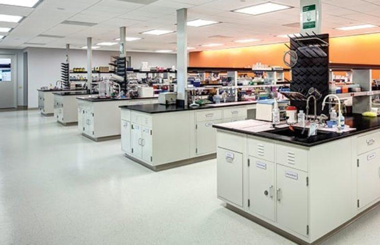 life sciences